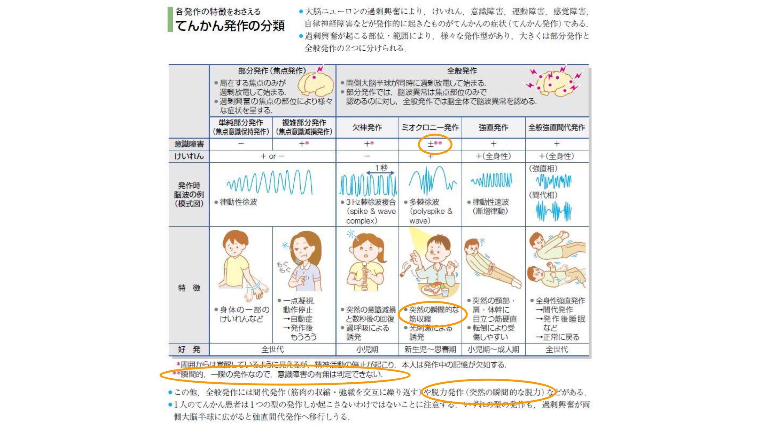 薬がみえる』で合格もみえる！？薬剤師国試で徹底検証！ ｜やくまる