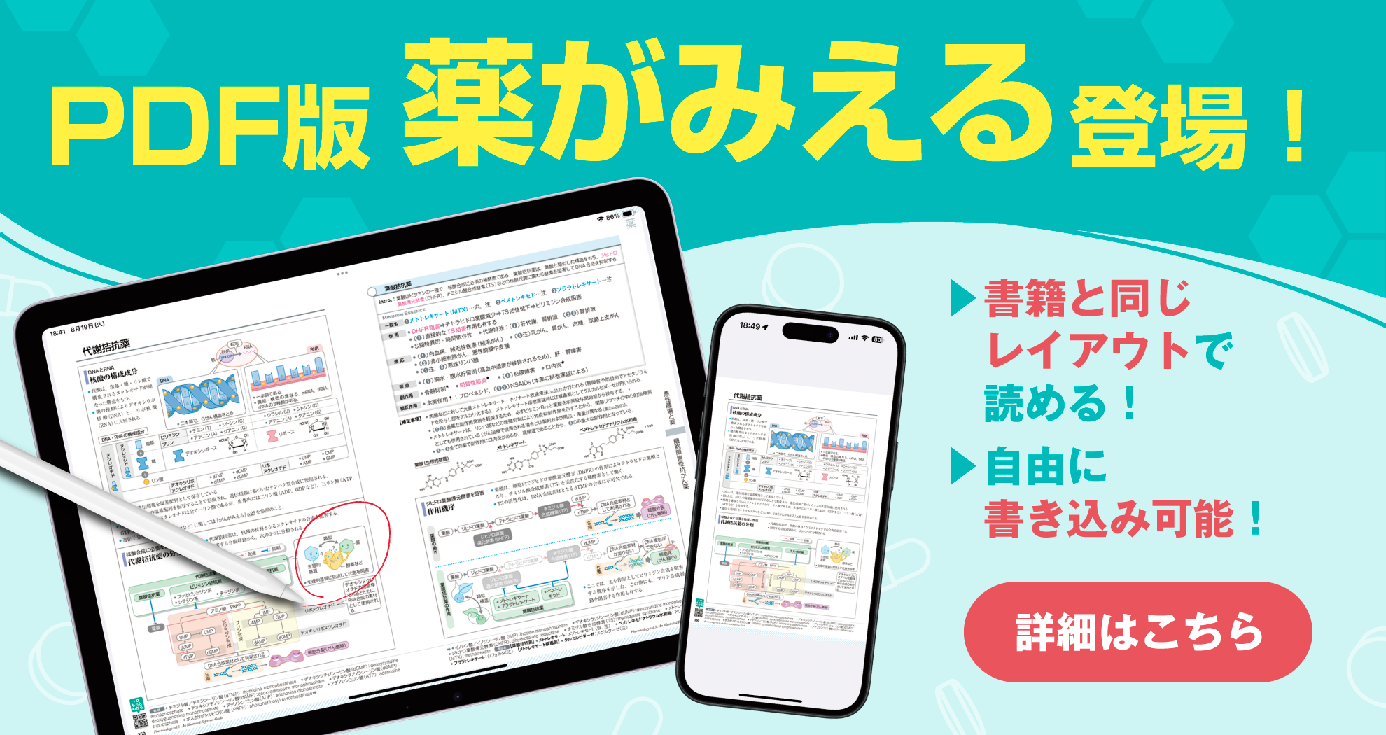 PDF版薬みえ